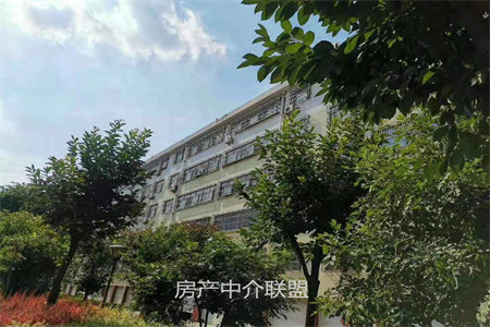 泰安市泰山区恒地·乐活小镇2室2厅1卫100万89m2出售